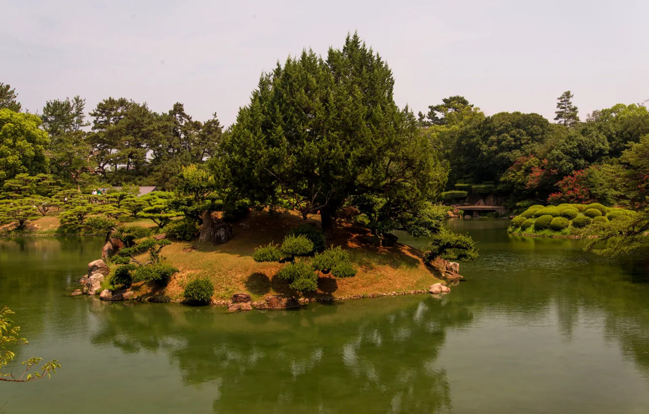 Фото обои деревья, пейзаж, природа, пруд, парк, фото, Япония, Takamatsu