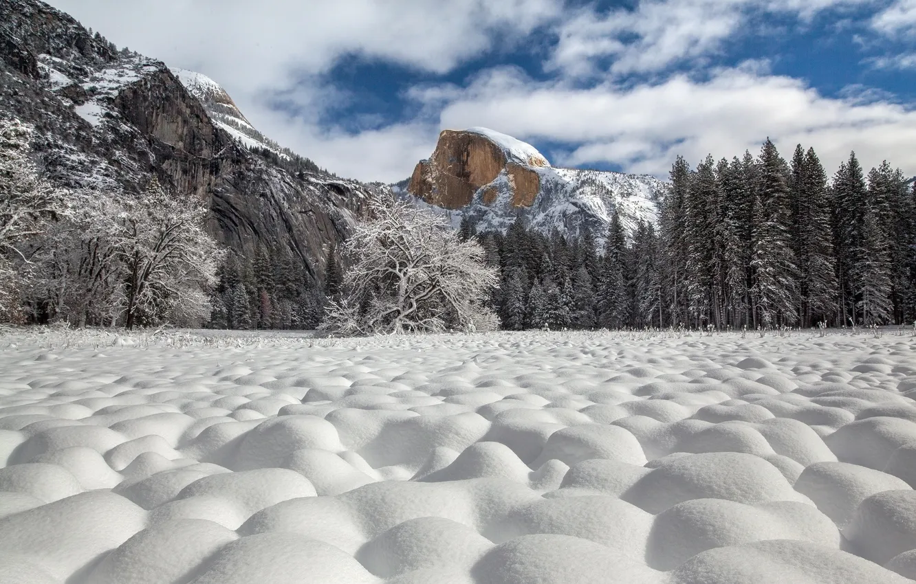 Фото обои Yosemite National Park, Half Dome, Snow Cottonballs