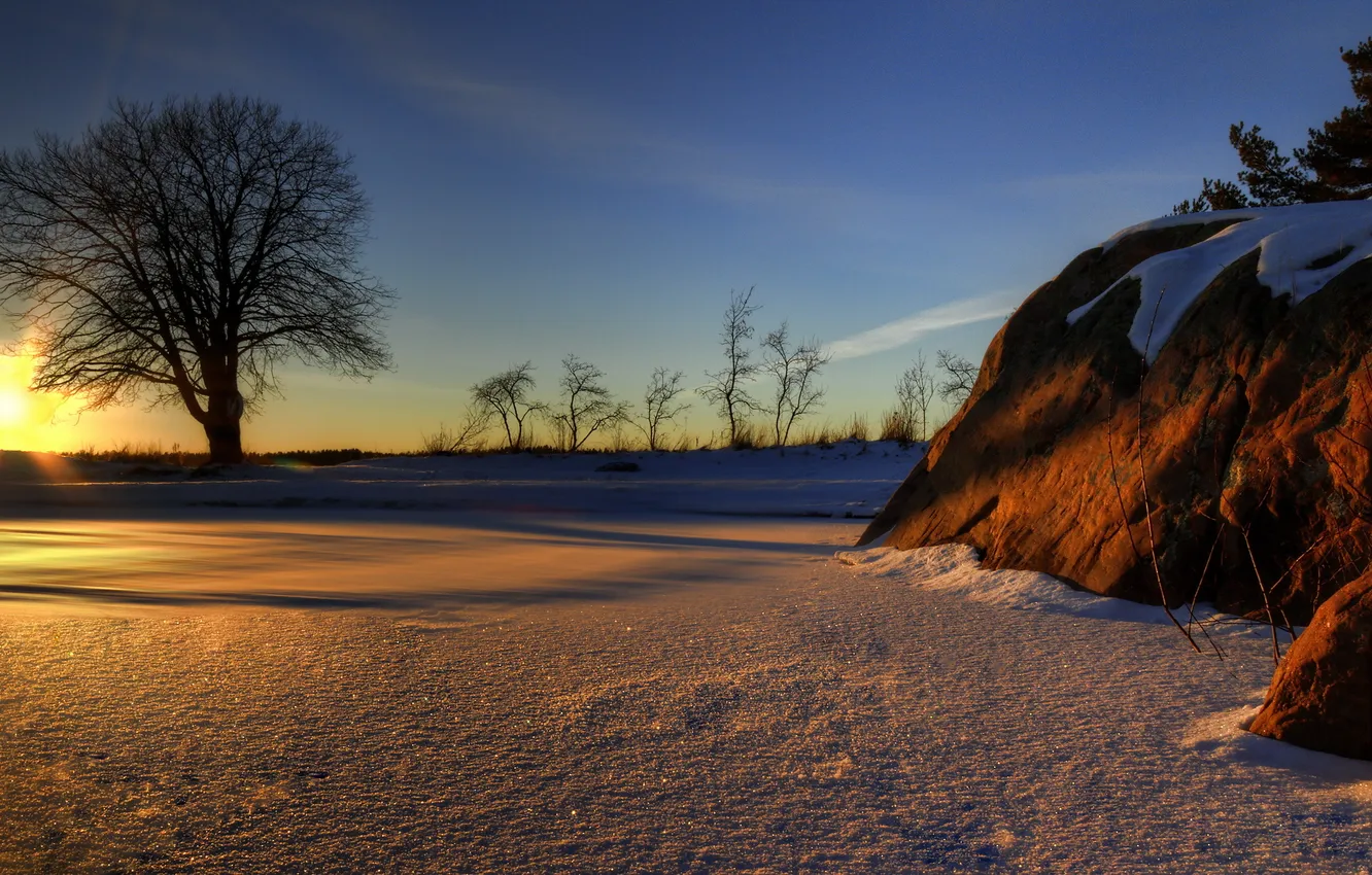 Фото обои зима, снег, закат, дерево