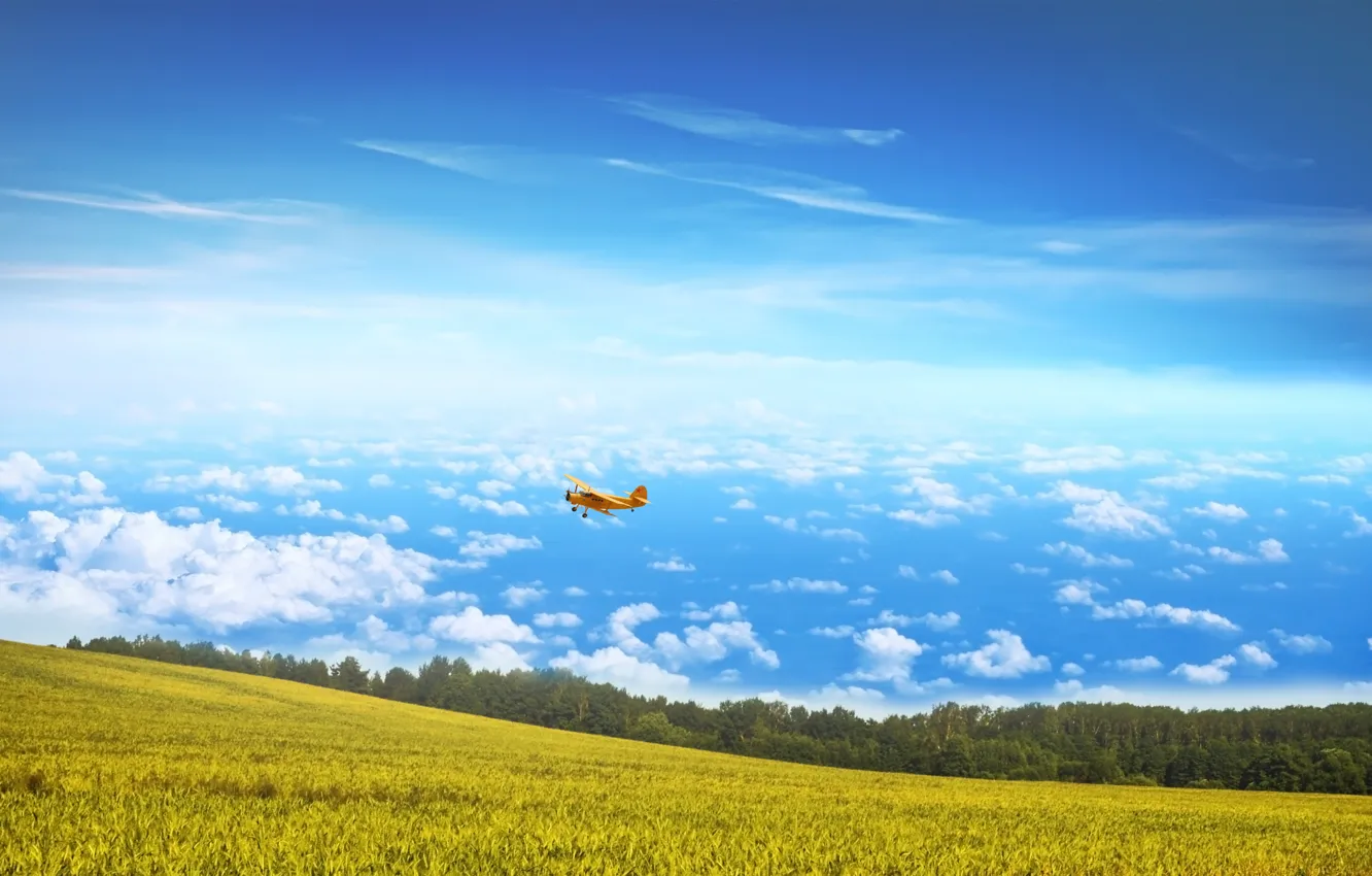 Фото обои поле, небо, облака, кукурузник