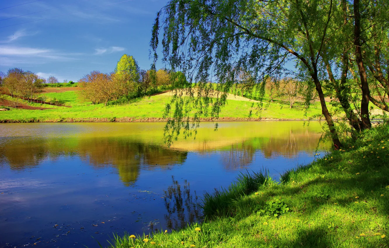 Фото обои лето, трава, деревья, природа, река