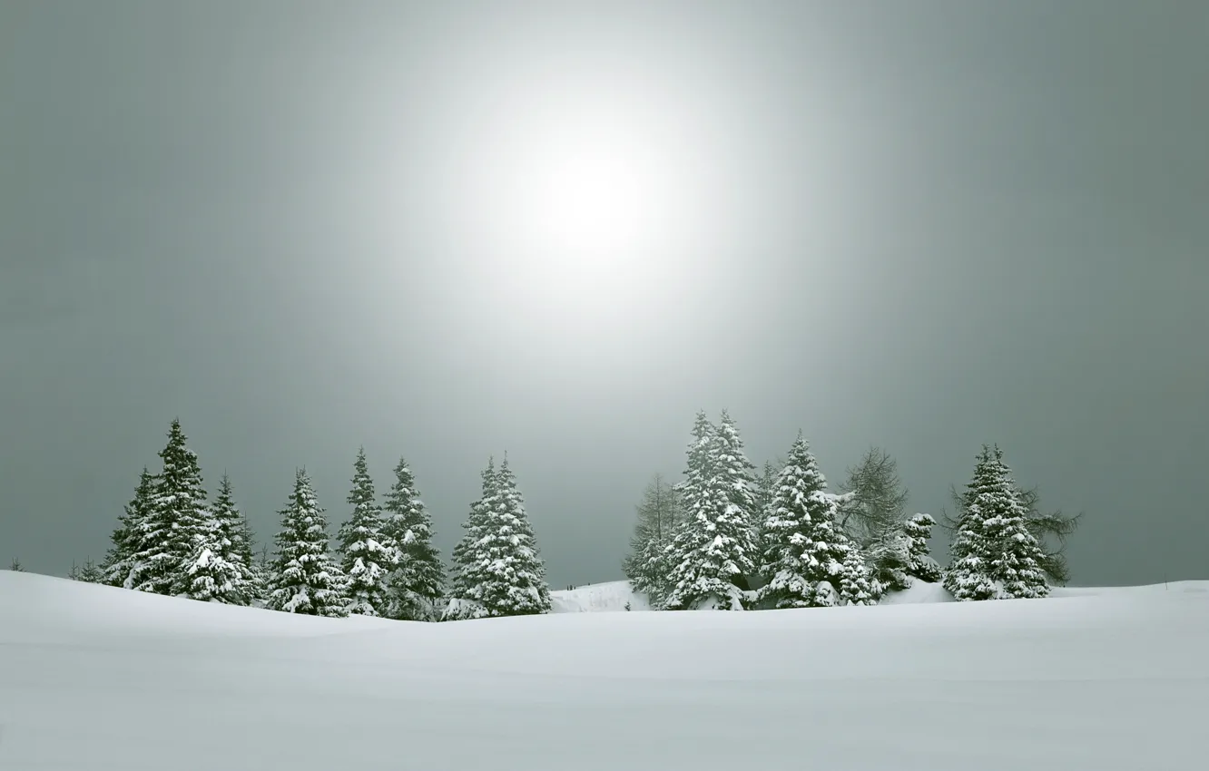 Фото обои зима, пейзаж, природа, ёлки