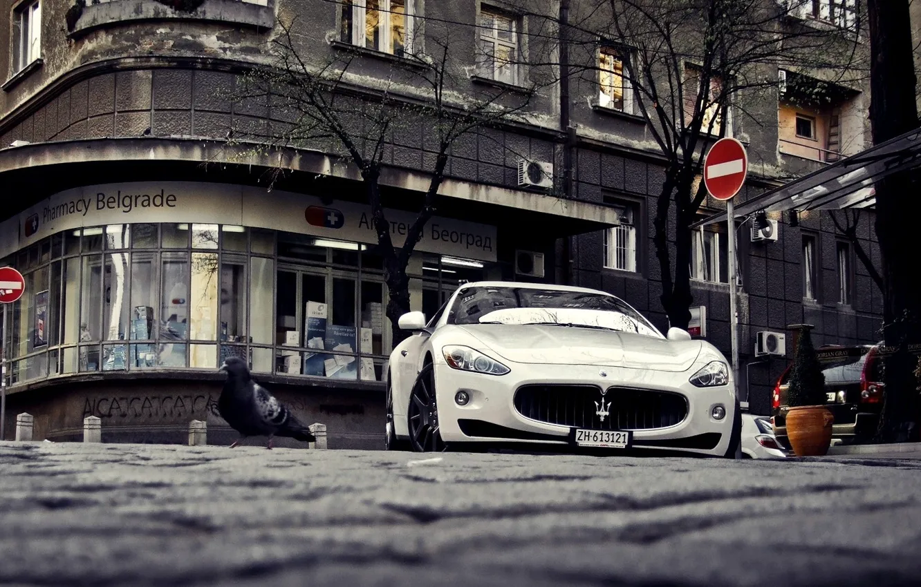 Фото обои Maserati, белая, спортивная, white, GranTurismo, мазерати