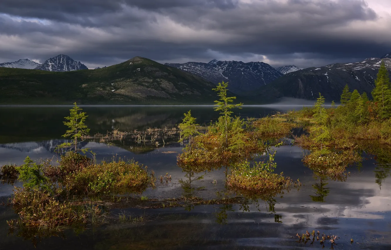 Фото обои горы, ели, водоем