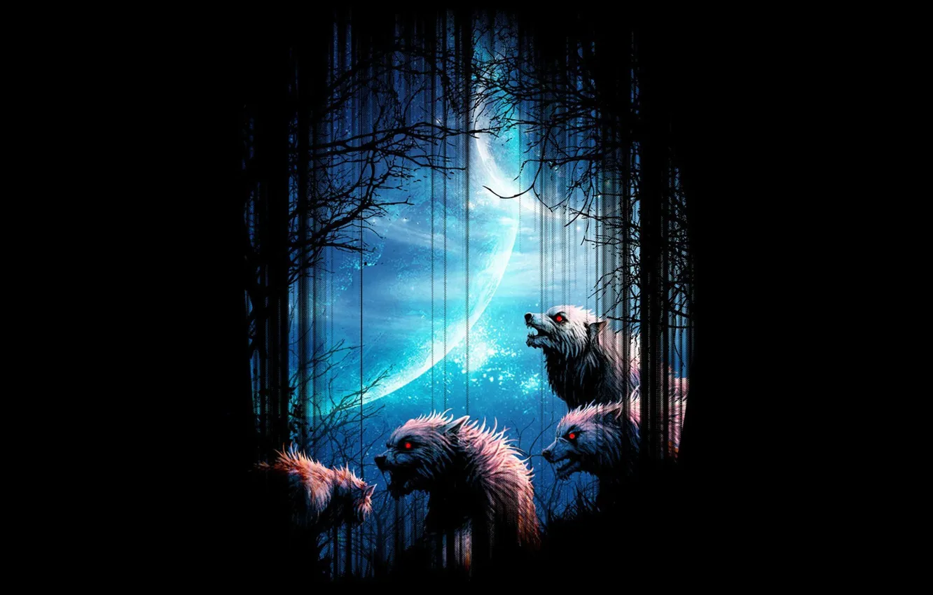 Фото обои лес, ночь, фон, луна, волки