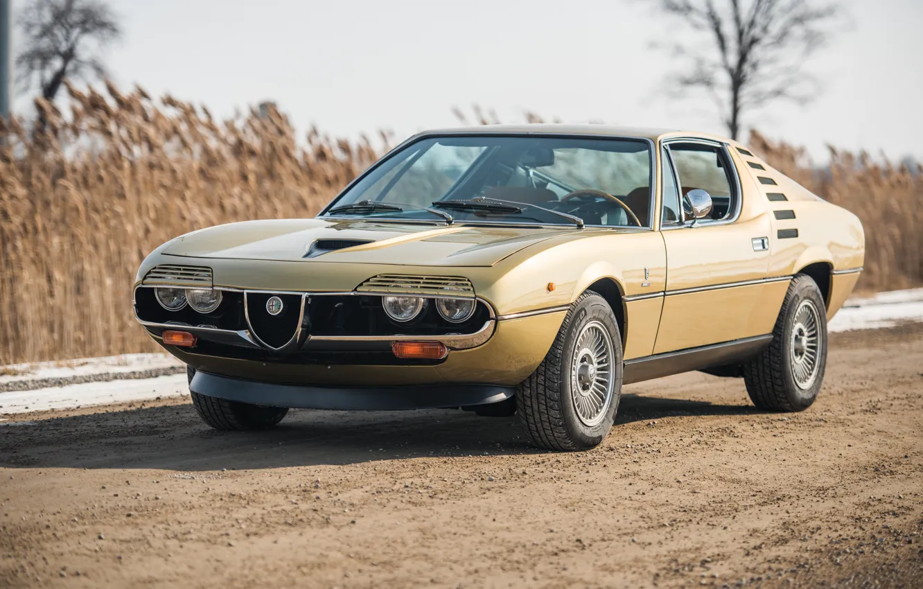 Фото обои Alfa Romeo, 1972, Montreal, front view, Alfa Romeo Montreal