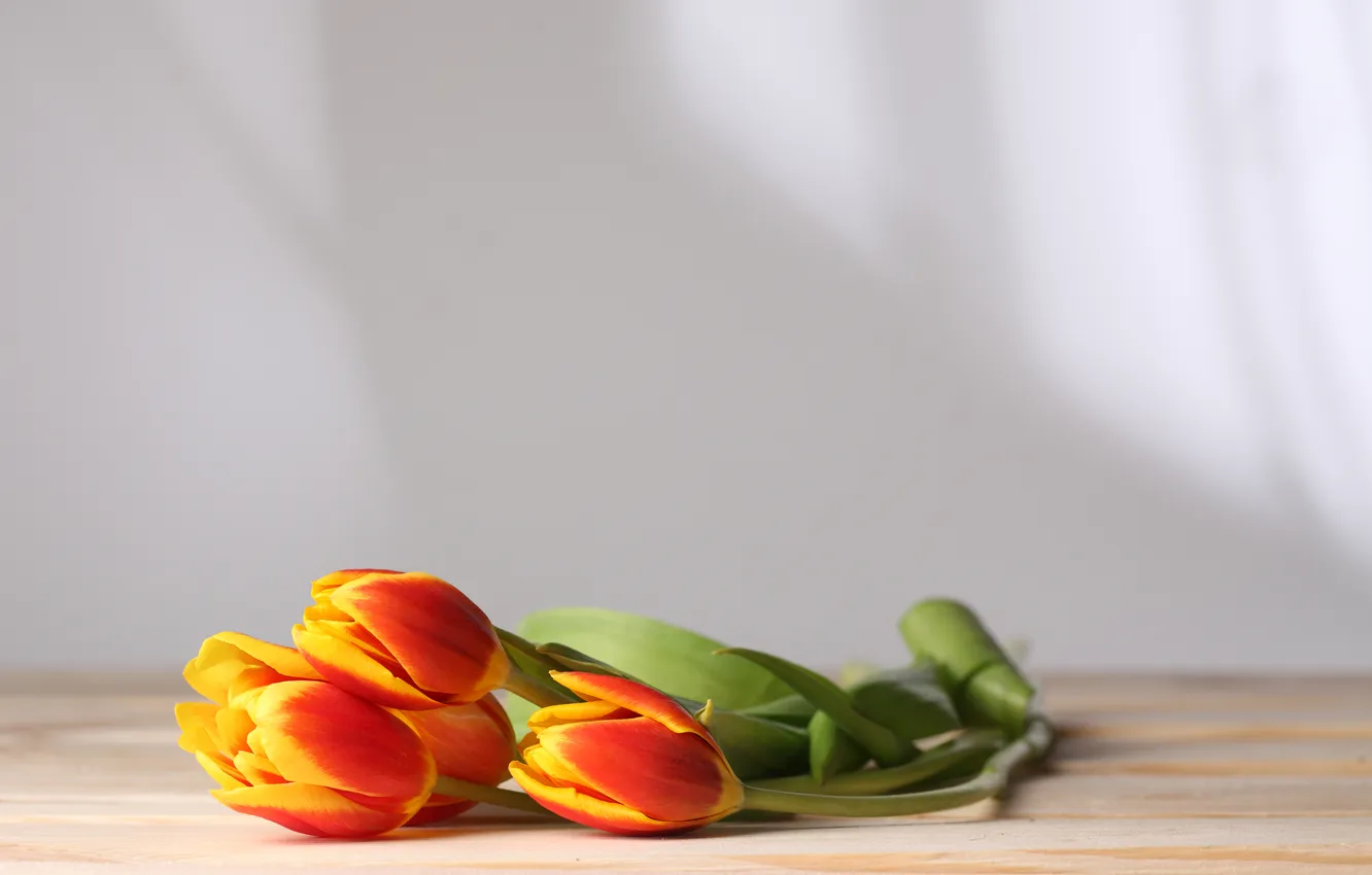 Фото обои цветы, стол, стебли, тюльпаны