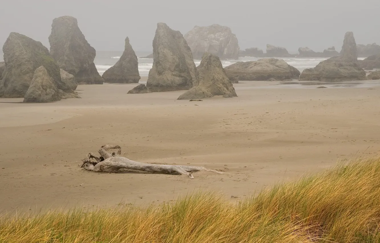 Фото обои песок, море, трава, туман, камни, пасмурно, скалы, бревно