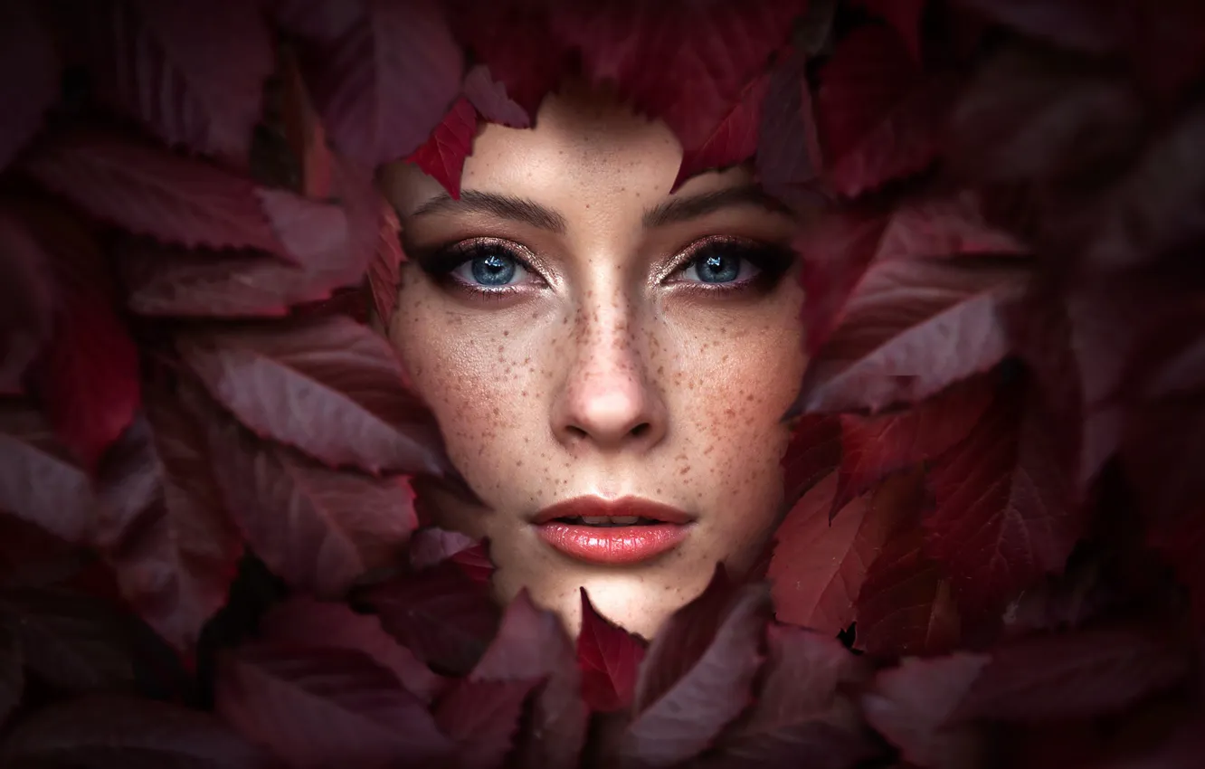 Фото обои осень, листья, девушка, Ренат Фотов, Вика Антонова