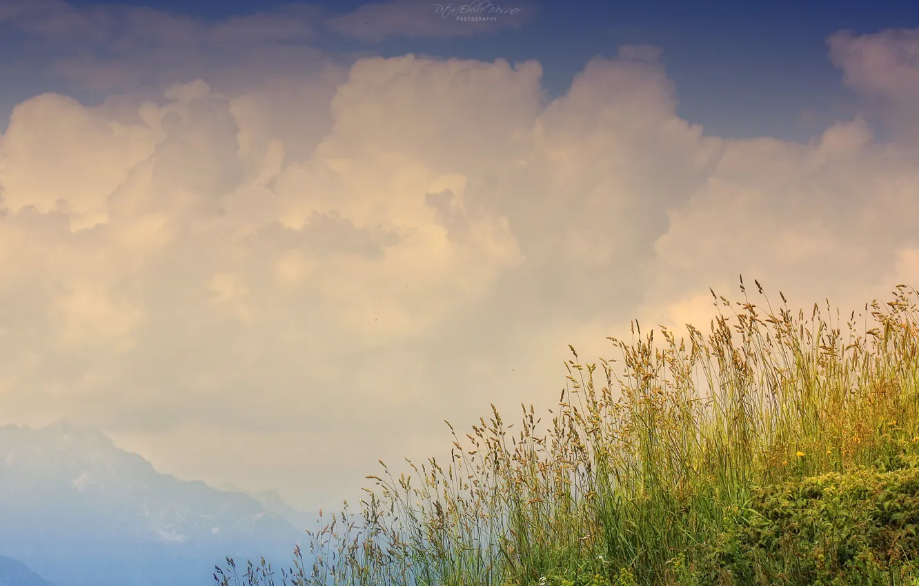 Фото обои трава, горы, блака, возвышенность, небоо