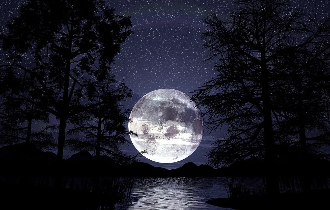 Фото обои ночь, луна