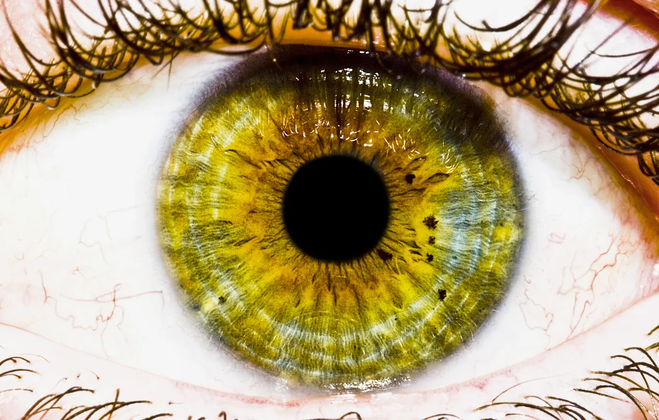 Фото обои green, white, eye, eye pupil