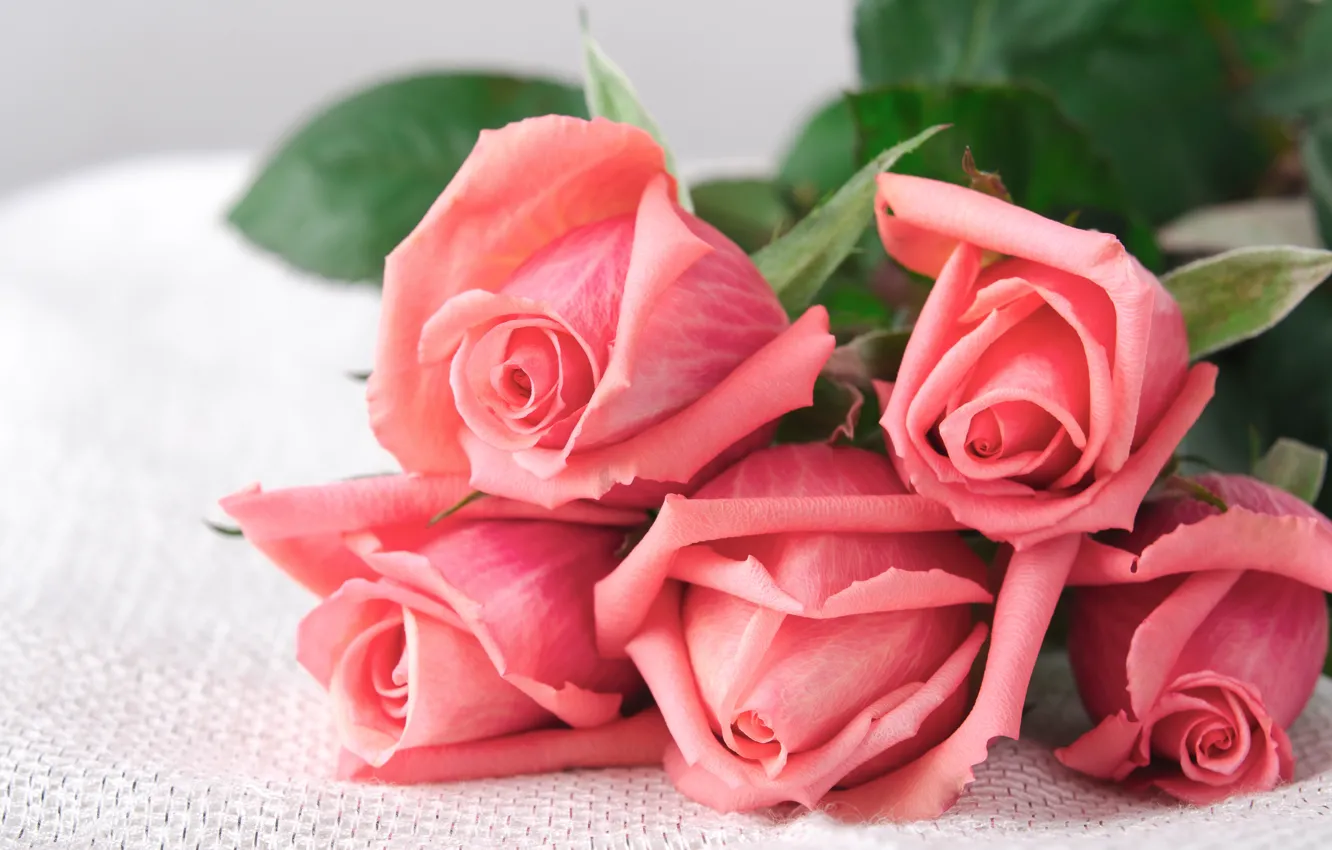 Фото обои розы, букет, love, бутоны, pink, flowers, romantic, roses