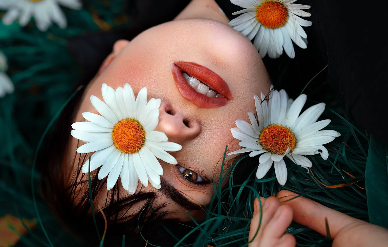Фото обои девушка, цветы, лицо, ромашки, Geo Leon