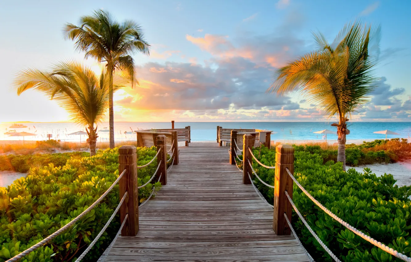 Фото обои море, зелень, солнце, мост, пальмы, карибы