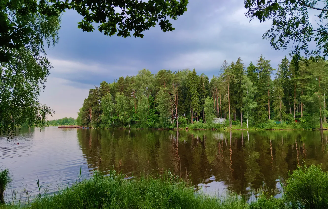 Фото обои лето, зеленая, травa, луковое озеро
