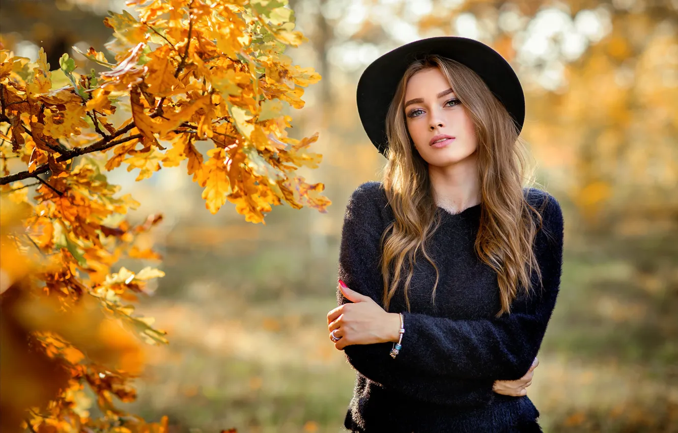 Фото обои girl, long hair, hat, photo, brown, blue eyes, autumn, leaves