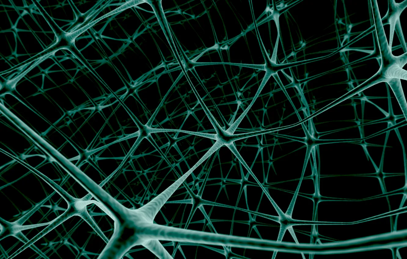 Фото обои сеть, нейроны, связь