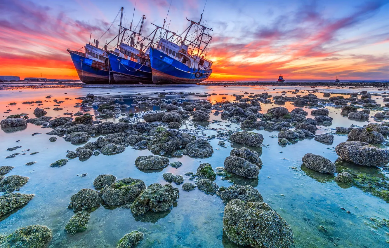 Фото обои пейзаж, океан, рассвет, берег, корабль, сели на мель, корабекрушение