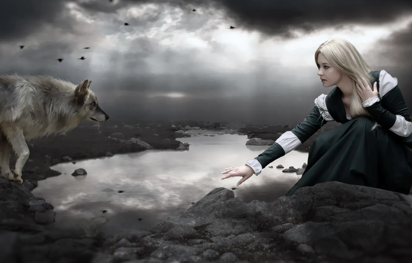 Фото обои dark, girl, lake, photomanipulation, Wolf