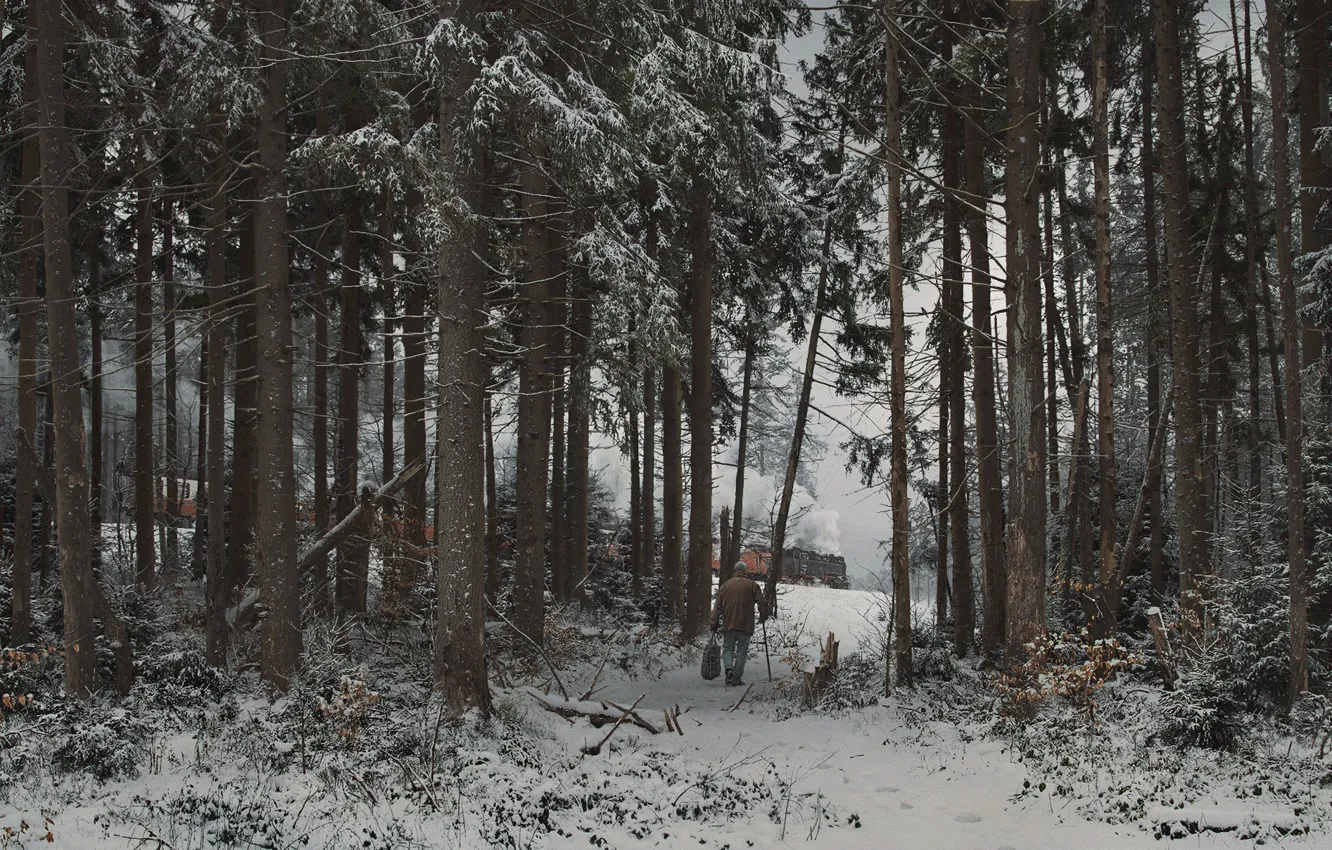 Фото обои лес, снег, поезд, daylight, Dapflok 99 7247 - 2