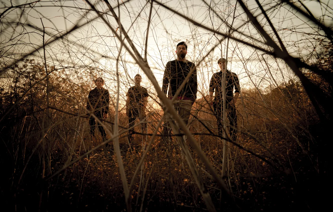 Фото обои nu metal, Deftones, Frank Delgado, Abe Cunningham, Stephen Carpenter, Chino Moreno, Sergio Vega