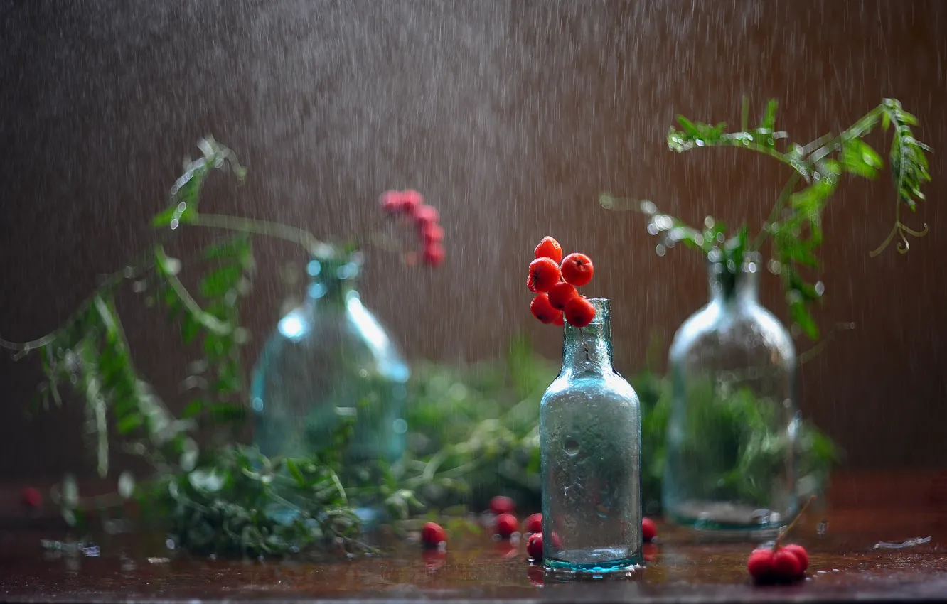 Фото обои зелень, стекло, капли, ягоды, стол, дождь, бутылка, бутылки