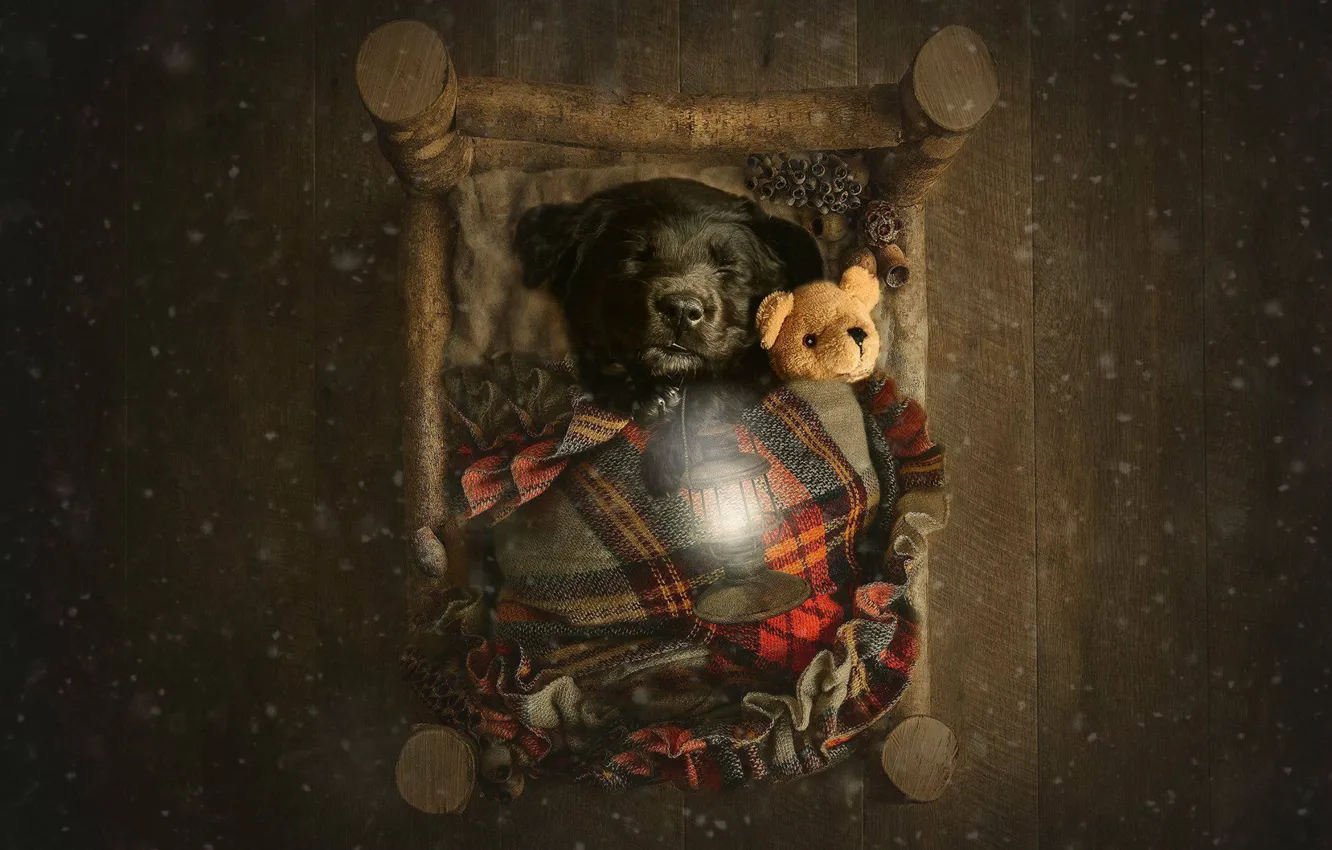 Фото обои настроение, игрушка, сон, малыш, фонарик, медвежонок, пёсик, плюшевый мишка