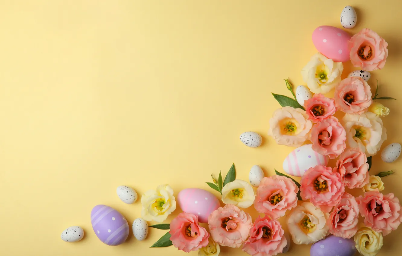 Фото обои цветы, яйца, весна, colorful, Пасха, happy, pink, flowers