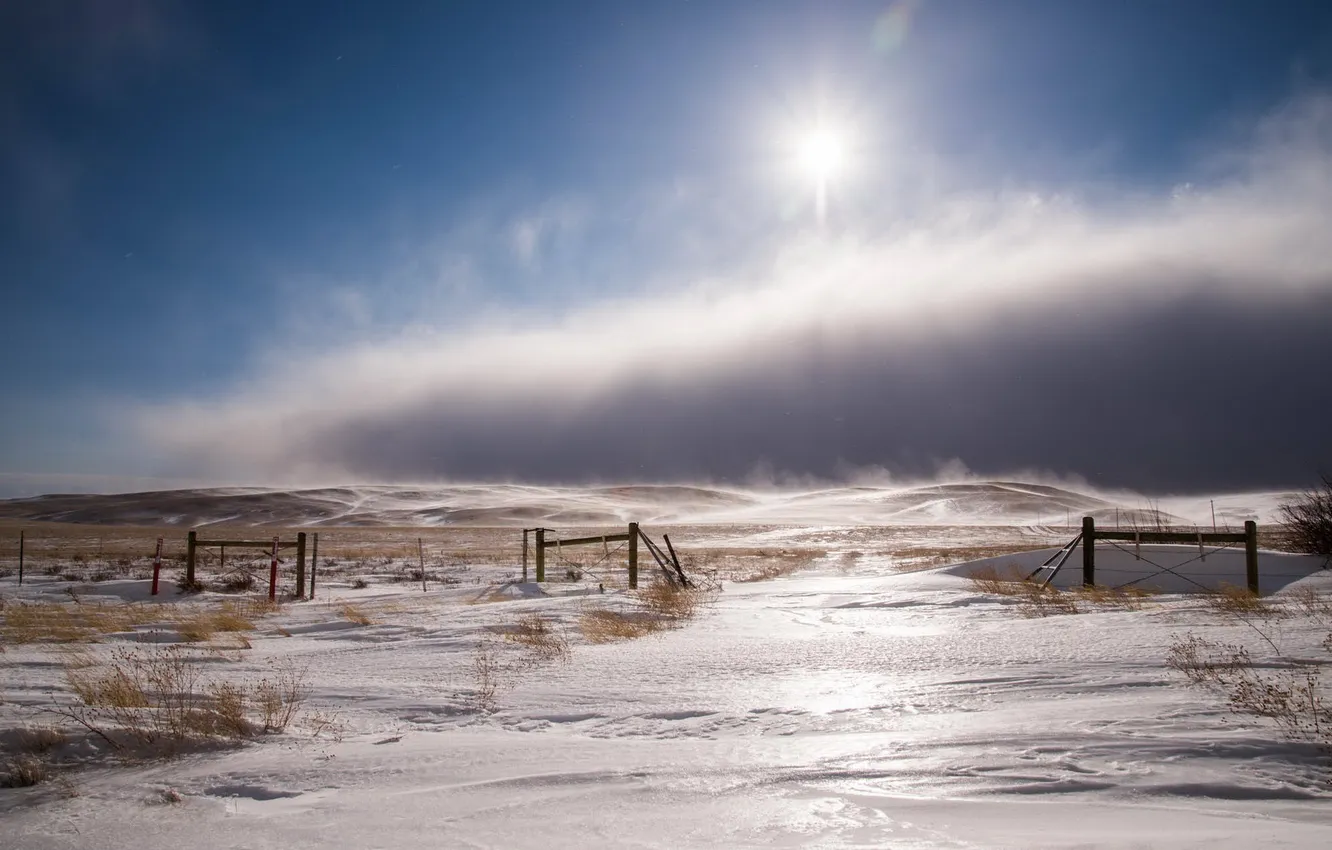 Фото обои поле, небо, снег, природа, ветер