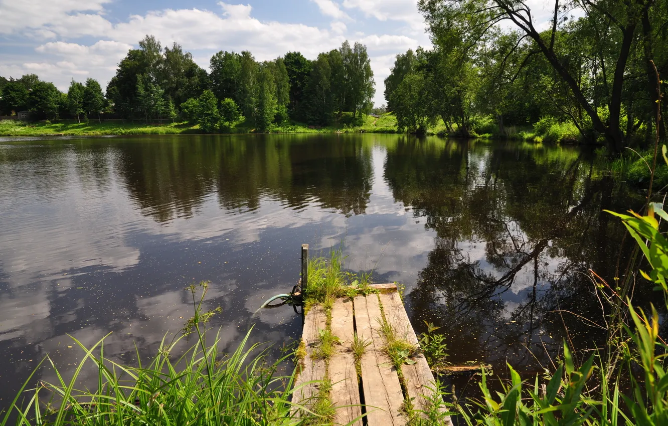 Фото обои вода, деревья, пруд, растения, мостик