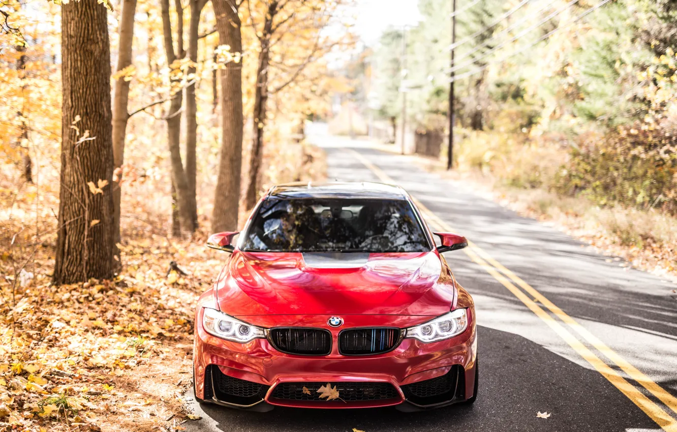 Фото обои BMW, Autumn, RED, F82