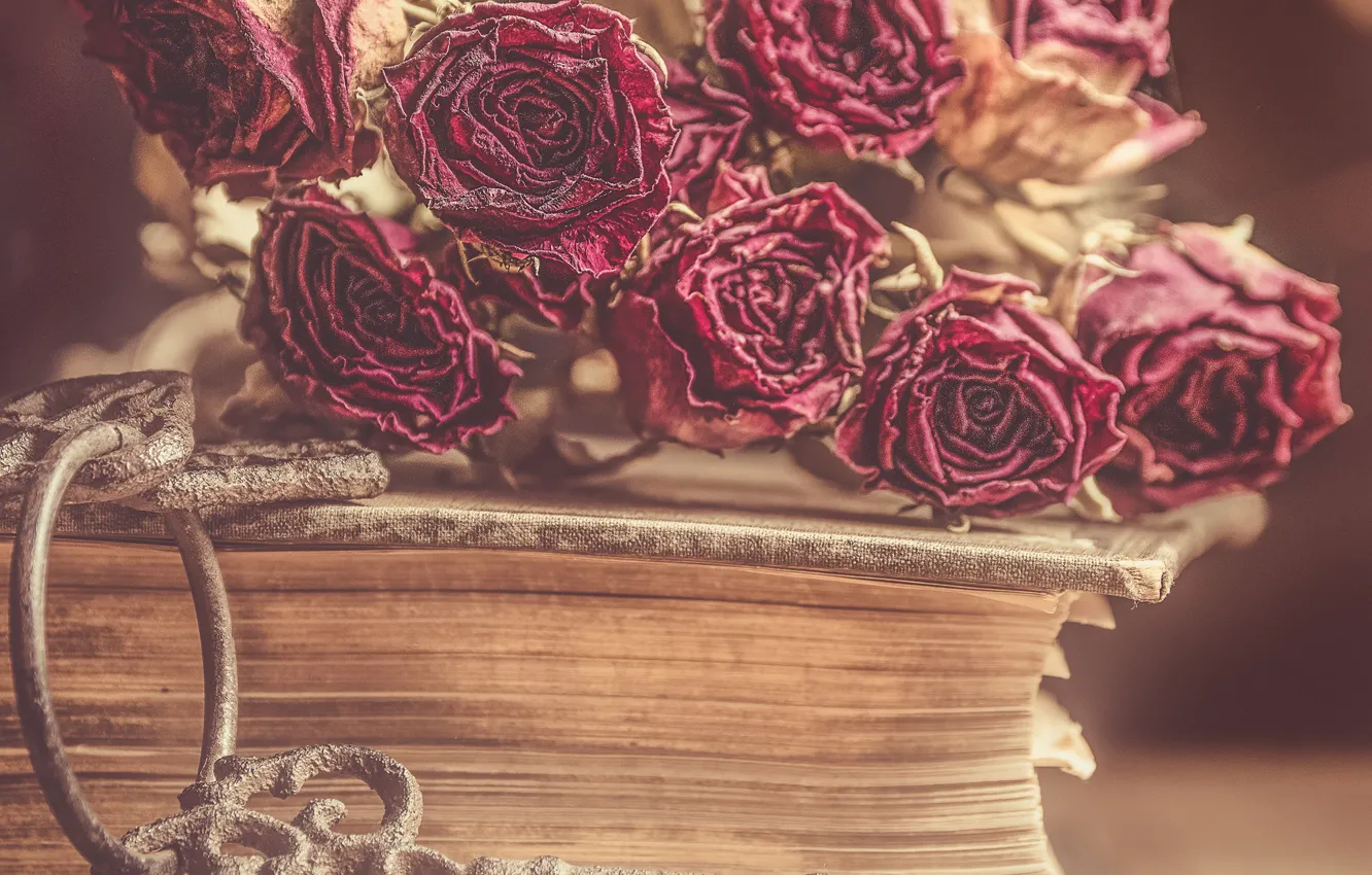 Фото обои цветы, стиль, розы, ключ, книга, бутоны, засохшие