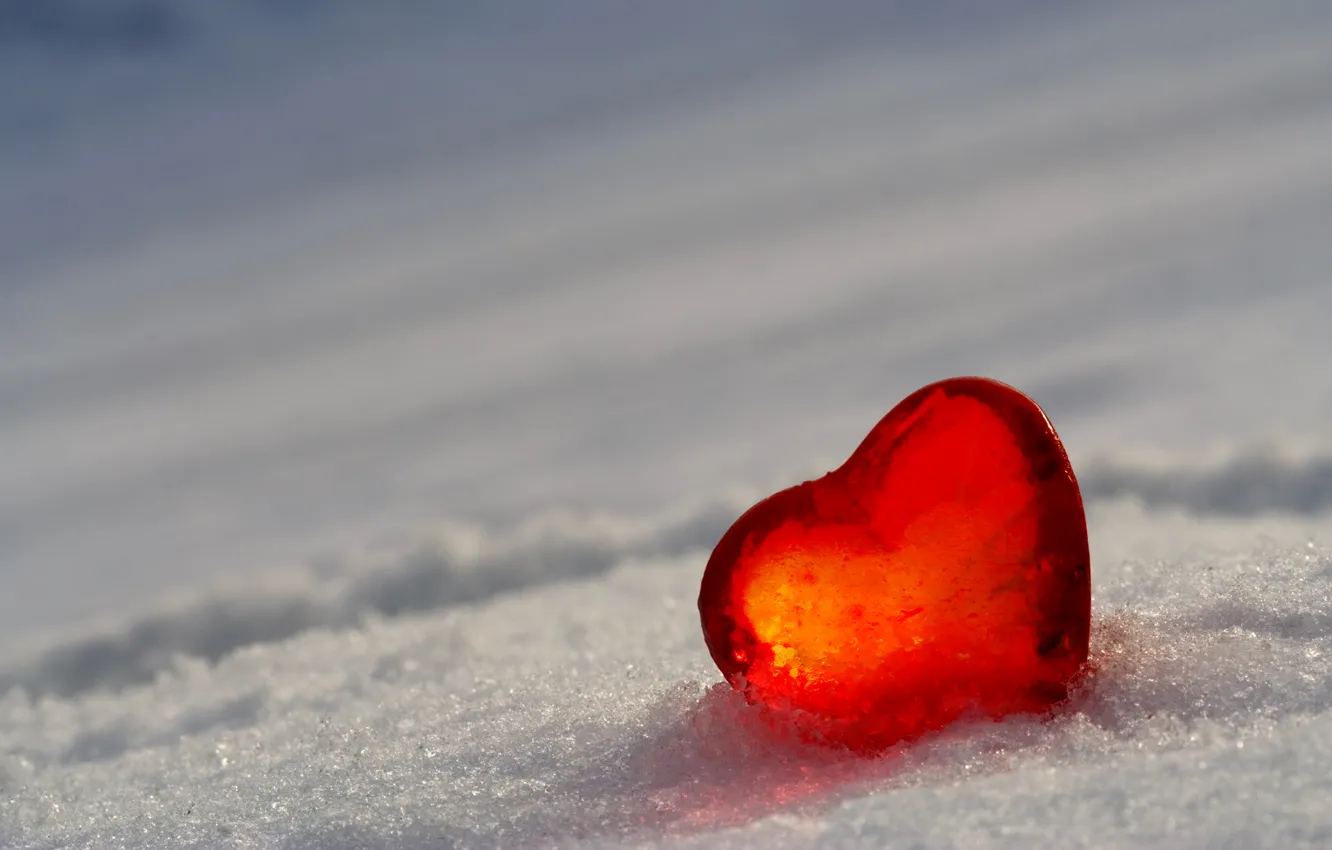 Фото обои снег, сердце, лёд