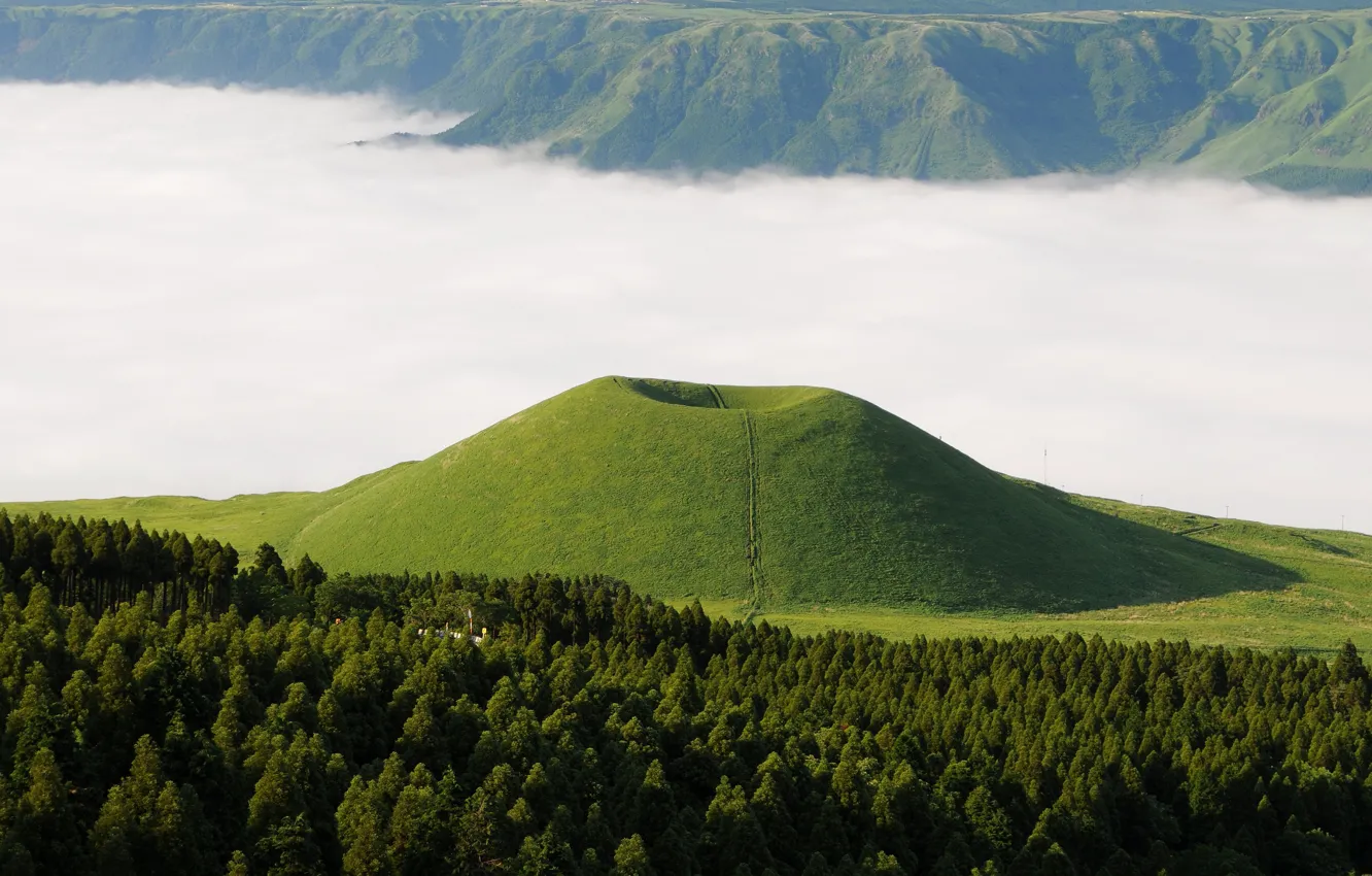 Фото обои лес, горы, туман, вид, вулкан