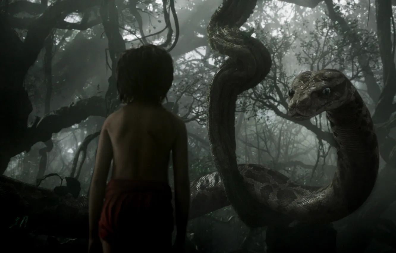 Фото обои мальчик, питон, Маугли, The Jungle Book, Книга джунглей, Каа