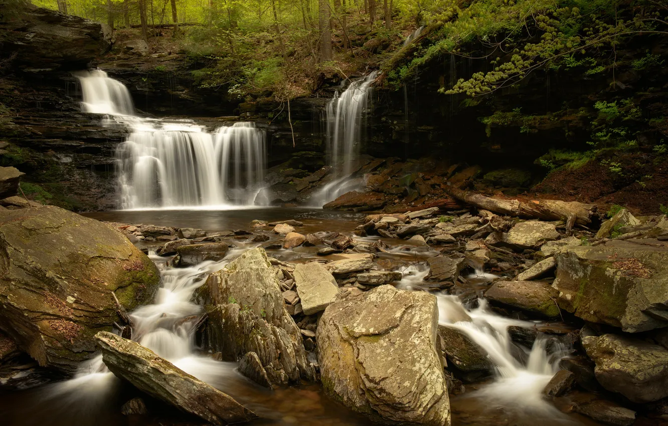 Фото обои лес, река, камни, Pennsylvania, Ricketts Glen State Park, R.B. Ricketts Falls