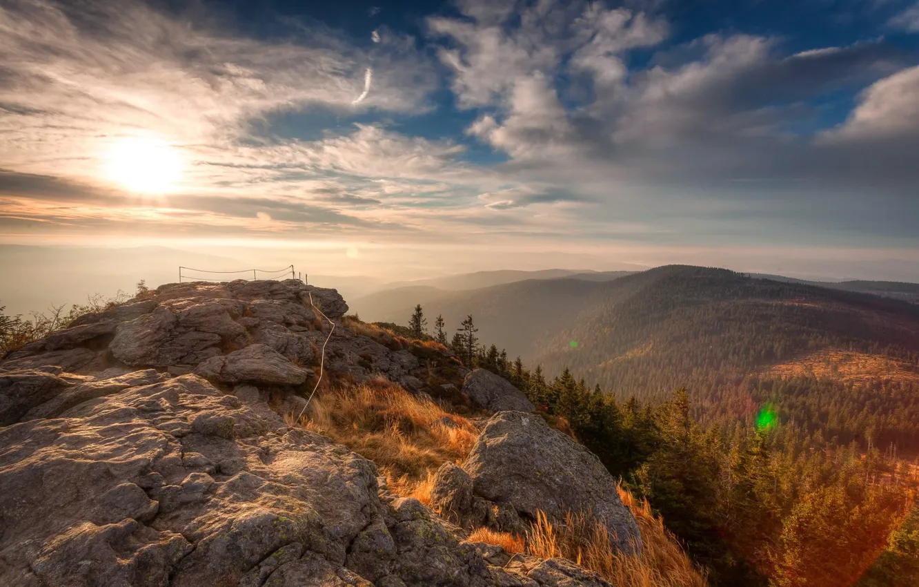 Фото обои Sunrise, Forest, Nationalpark Bavarian