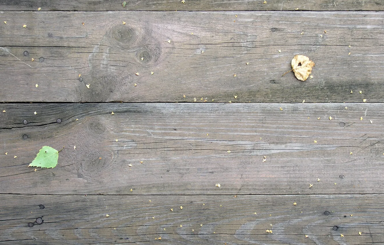 старая доска 2х4. старые доски. сон доски старые. гнилые доски. сон доски старые.