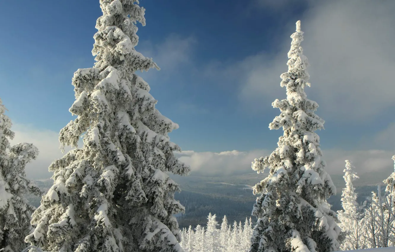 Фото обои зима, лес, снег, горы, Чехия, Шумава, Богемия, Prášily