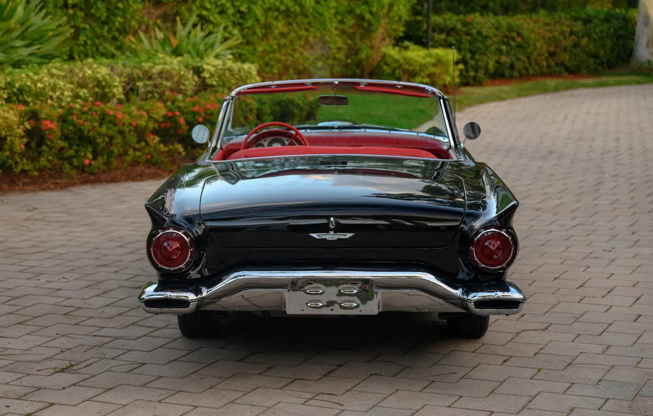Фото обои Ford, Форд, 1957, ретро автомобили, Thunderbird, retro cars, Ford Thunderbird E-Code, E-Code