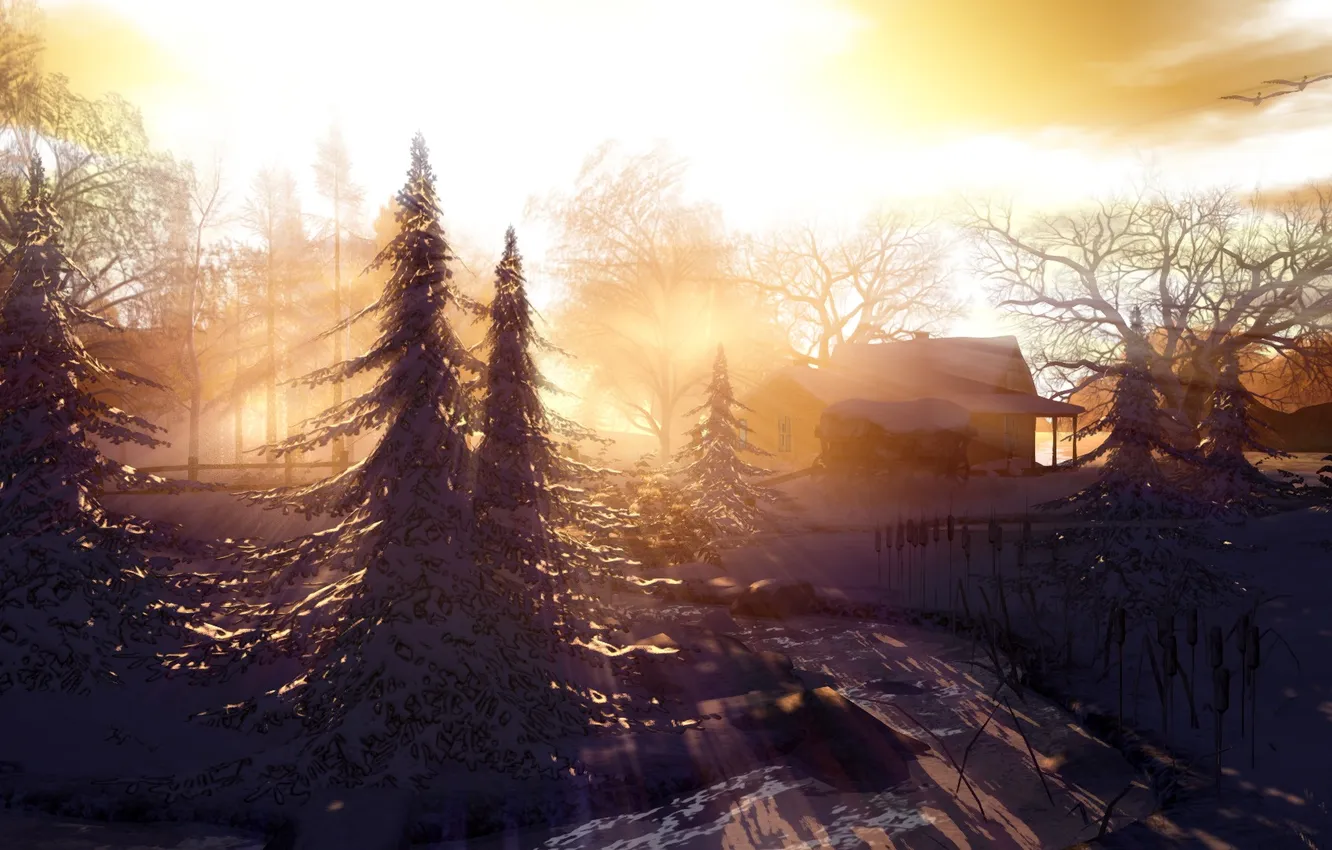 Фото обои свет, пейзаж, утро