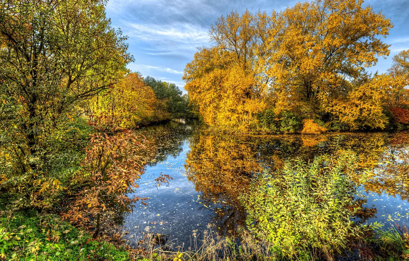 Фото обои осень, небо, солнце, облака, деревья, пруд, парк, HDR