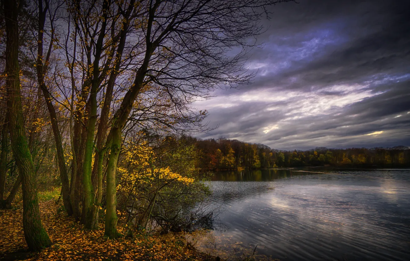 Фото обои осень, листья, деревья, тучи, озеро