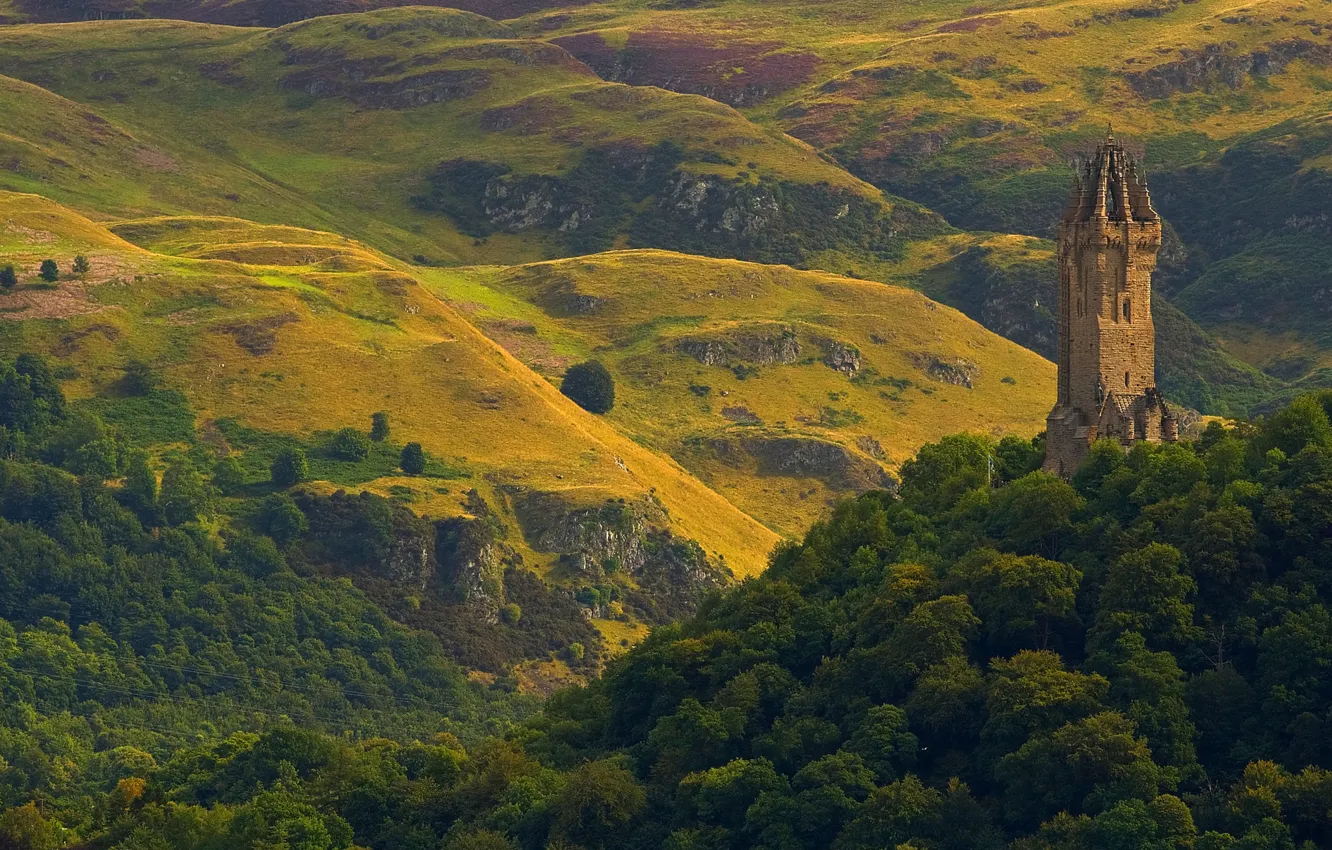 Фото обои деревья, горы, башня, Шотландия, Стерлинг