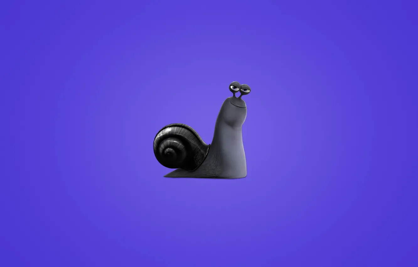Фото обои улитка, минимализм, Turbo, фиолетовый фон, Турбо, snail