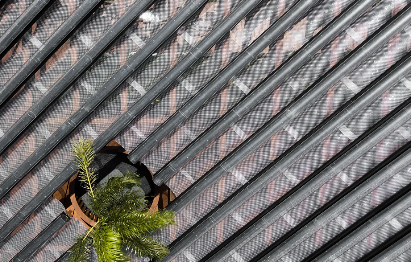 Фото обои крыша, пальма, архитектура, отверстие, West Kowloon Pavilion - Hong Kong
