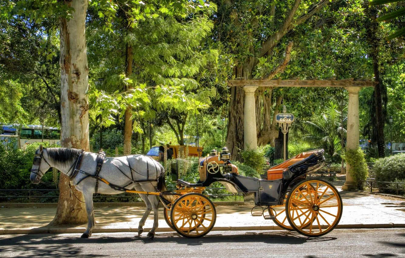 Фото обои лошадь, карета, Испания, Spain, Севилья, Seville, Парк Марии Луизы, Maria Luisa Park