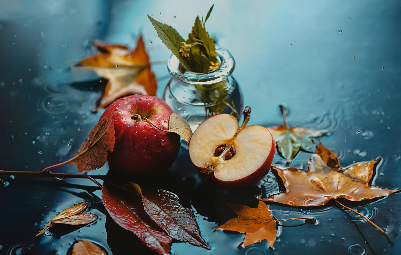 Фото обои осень, листья, капли, яблоки