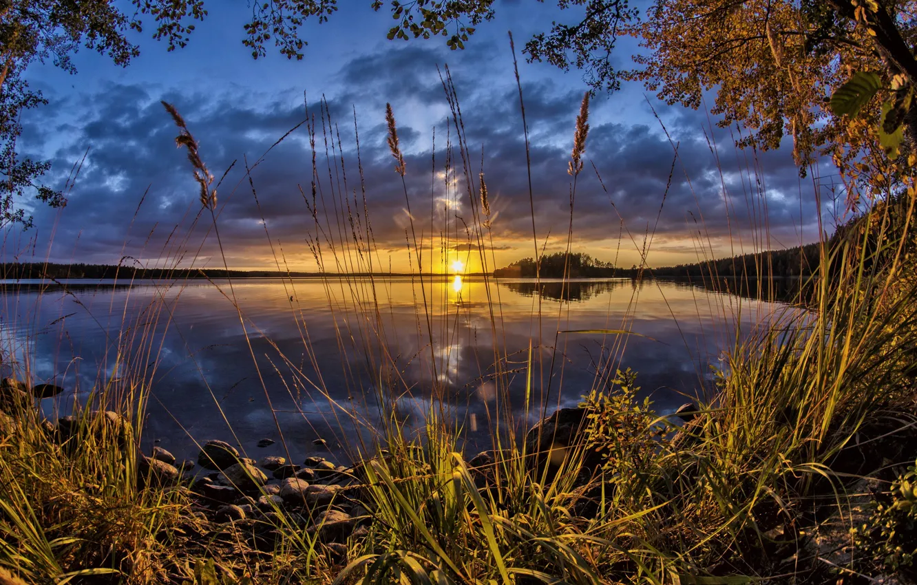 Фото обои закат, озеро, камыш, Финляндия, Finland, Озеро Кариярви, Kouvola, Karijarvi Lake